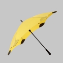 BLUNT, -, blunt-classic-yellow